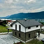 Steinrose